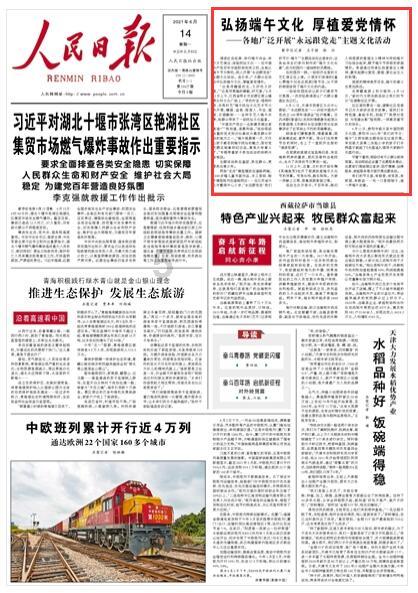 植物大战僵尸10